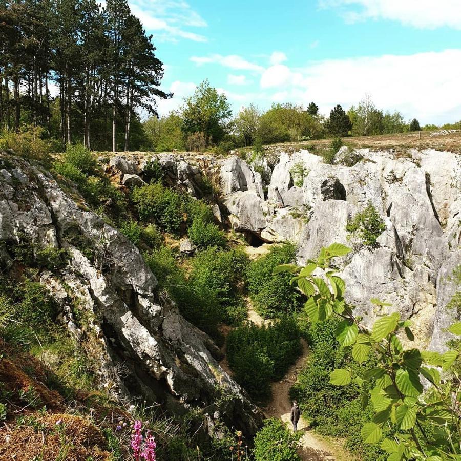 Verblijfpark Ardinam Olloy-sur-Viroin ภายนอก รูปภาพ