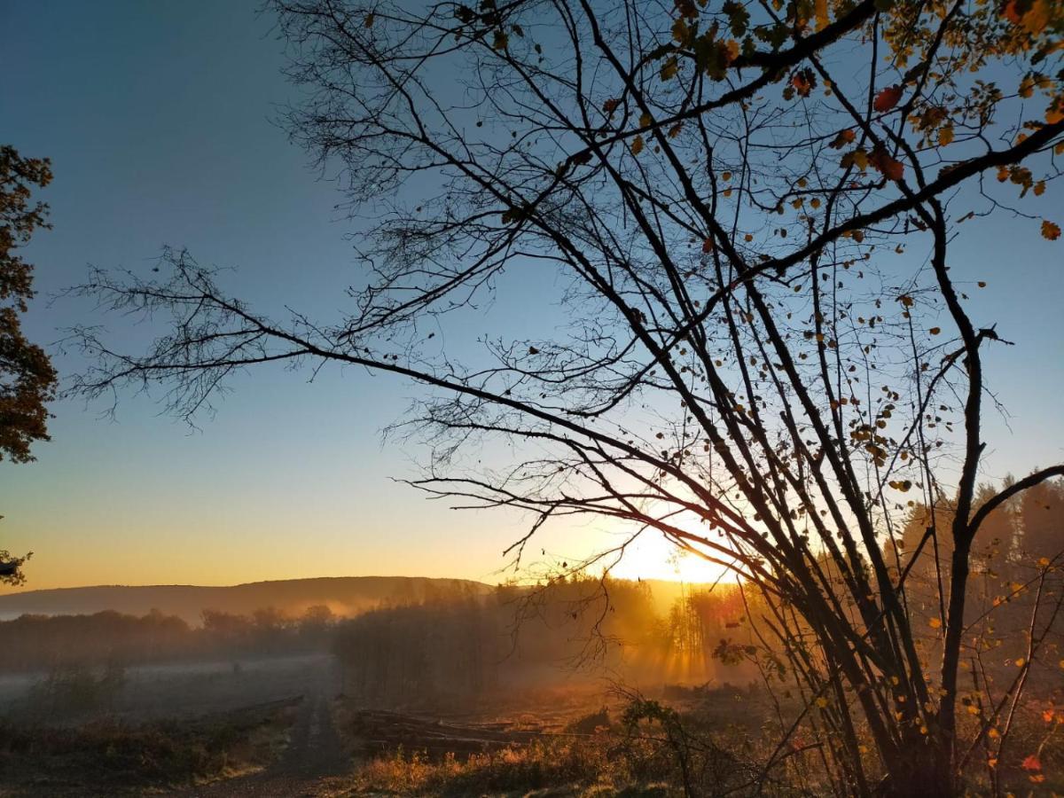 Verblijfpark Ardinam Olloy-sur-Viroin ภายนอก รูปภาพ